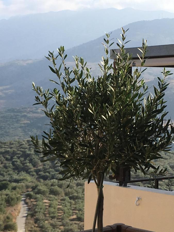 Marjoram - Morfi Village Exopoli Luaran gambar